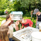 Rheindeltahaus 13-06-2013 13_jpg-1371397042