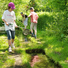 Rheindeltahaus 13-06-2013 16_jpg-1371397083