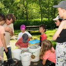 Rheindeltahaus 13-06-2013 23_jpg-1371397138