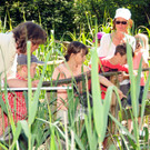 Rheindeltahaus 13-06-2013 28_jpg-1371397180