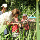 Rheindeltahaus 13-06-2013 34_jpg-1371397220