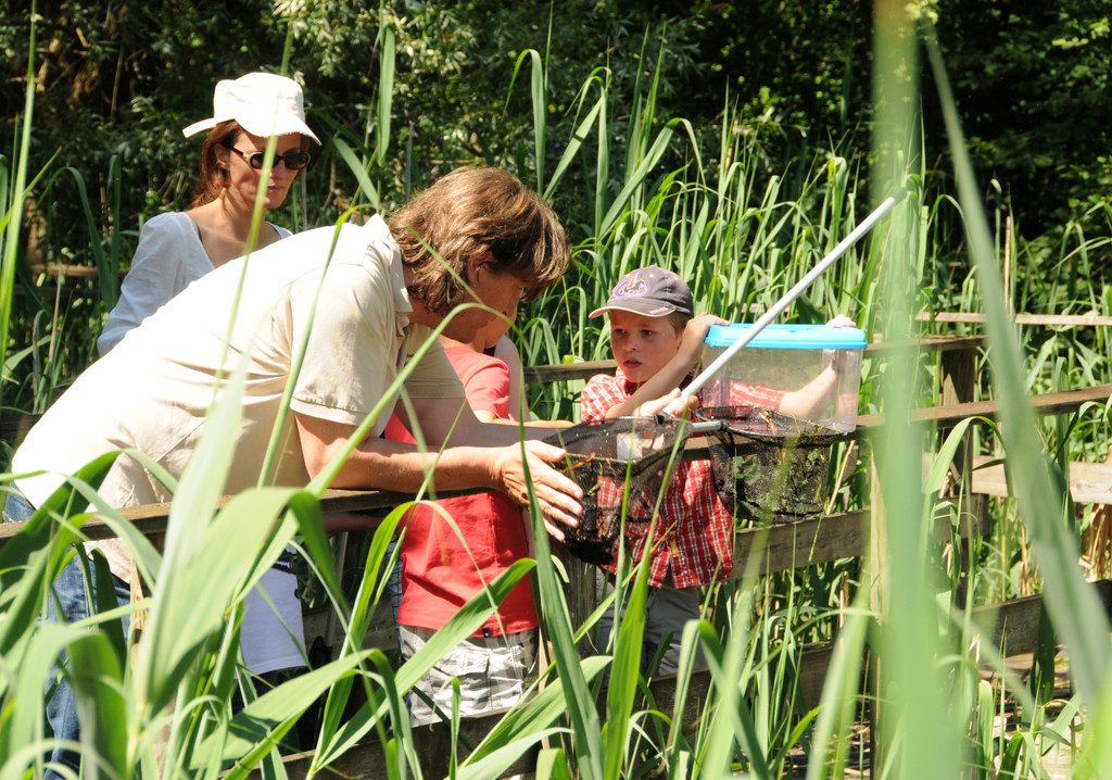 Rheindeltahaus 13-06-2013 34_jpg-1371397220