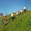 Rheindeltahaus 13-06-2013 87_jpg-1371397324