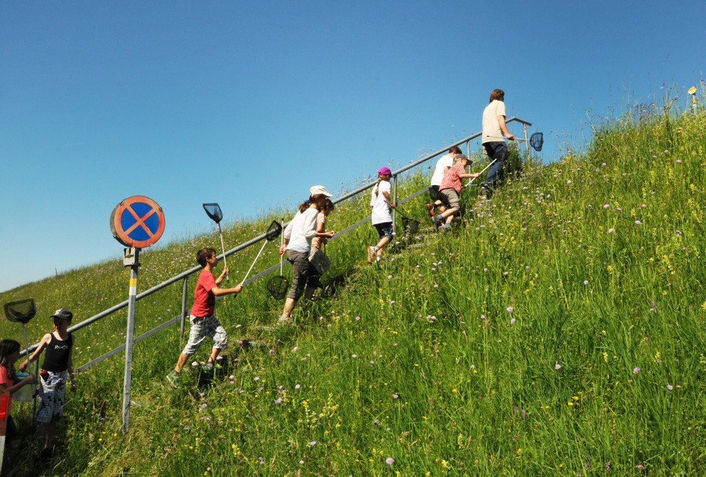 Rheindeltahaus 13-06-2013 87_jpg-1371397324