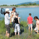 Rheindeltahaus 13-06-2013 94_jpg-1371397345