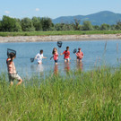 Rheindeltahaus 13-06-2013 109_jpg-1371397400