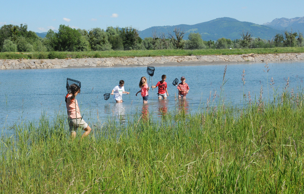 Rheindeltahaus 13-06-2013 109_jpg-1371397400