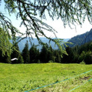 DSC08594.JPG