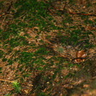 08.JPG