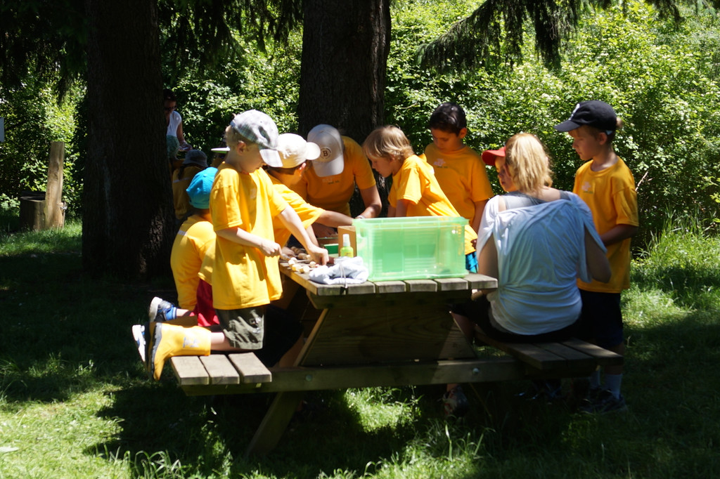 DSC00299_JPG-1371453424