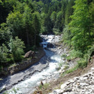 DSC00951 _768x1024_.jpg