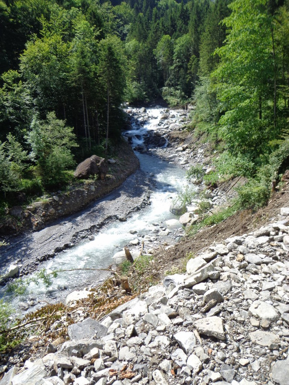 DSC00951 _768x1024_.jpg
