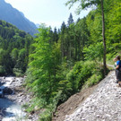 DSC00952 _1024x768_.jpg