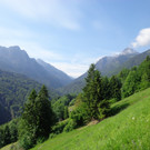 DSC00934 _1024x768_.jpg