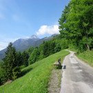 DSC00935 _1024x768_.jpg