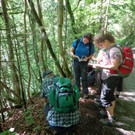 DSC00938 _1024x768_.jpg