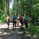 DSC00942 _1024x768_.jpg