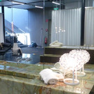 Inhaus16_jpg-1371472167