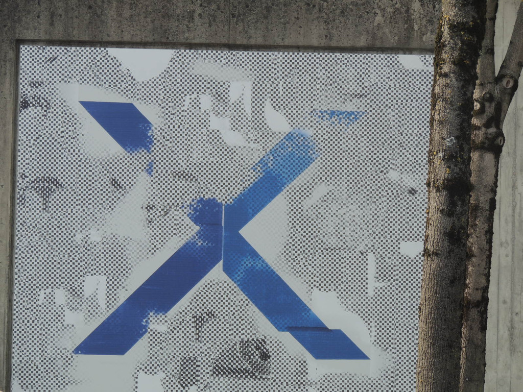 DSCN4972_JPG-1371502411