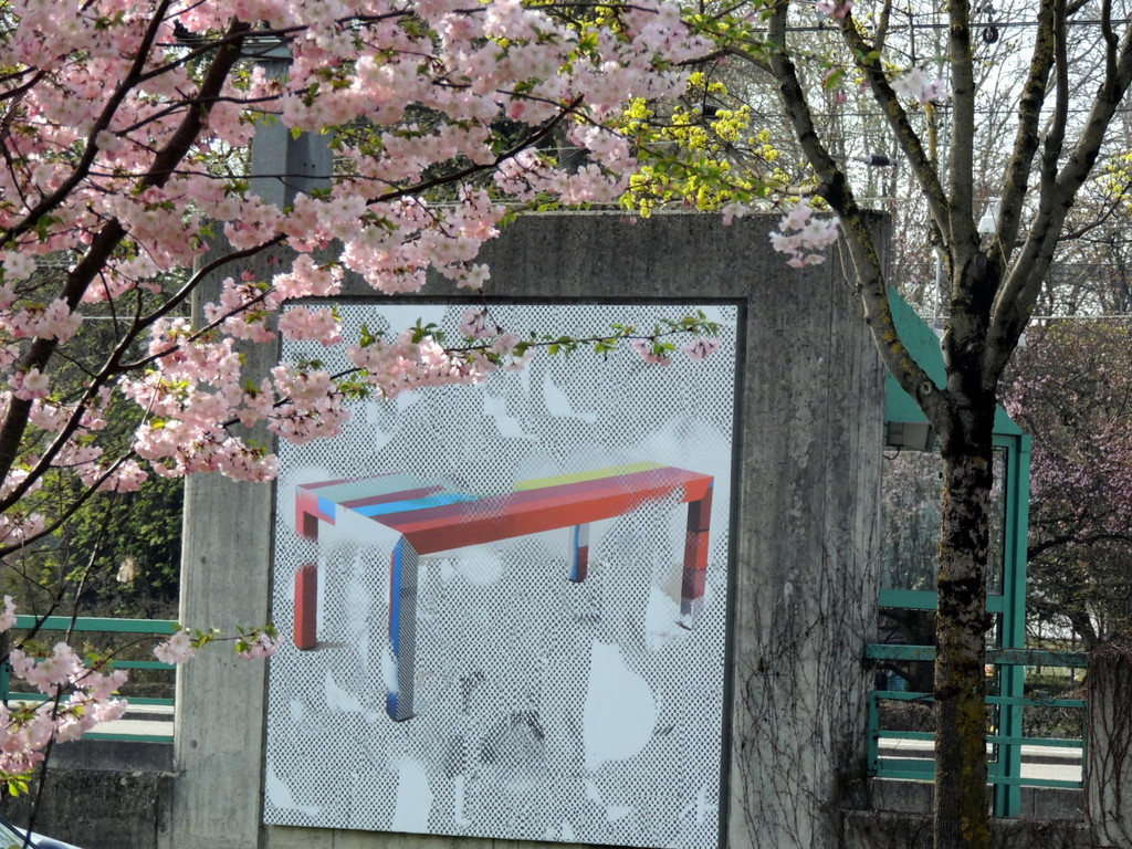 DSCN4975_JPG-1371502423