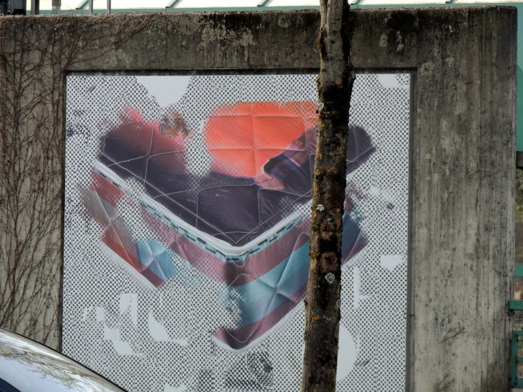 DSCN4982_JPG-1371502443