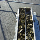 106_8166_jpg-1371503238