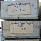 106_8184_jpg-1371503267