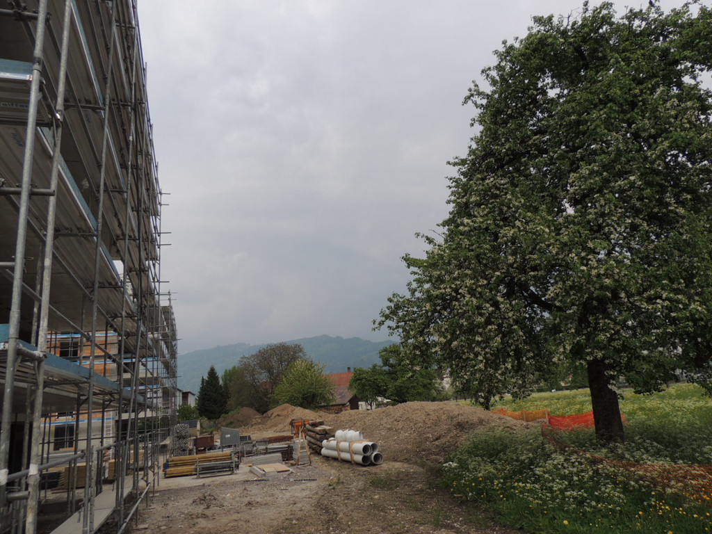 DSCN9428_JPG-1371504060