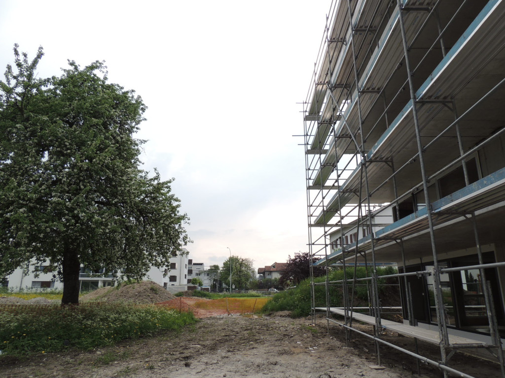 DSCN9434_JPG-1371504074