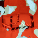 DSCN6376_JPG-1371505633