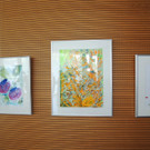 DSCN7800_JPG-1371509829