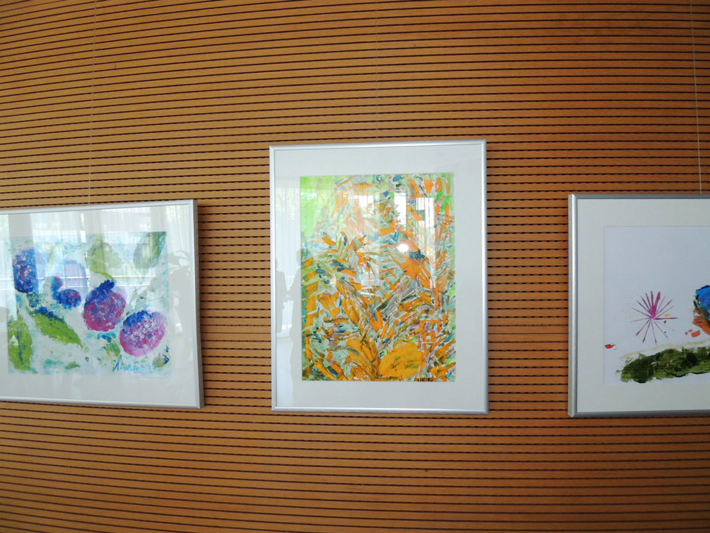 DSCN7800_JPG-1371509829