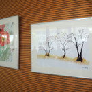 DSCN7798_JPG-1371509821