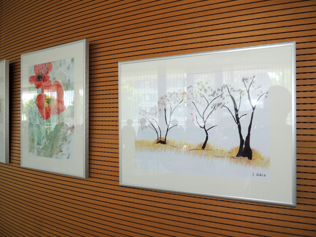 DSCN7798_JPG-1371509821