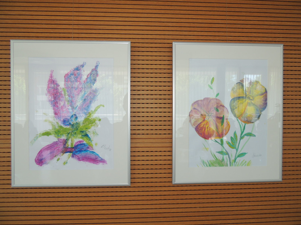 DSCN7808_JPG-1371509836