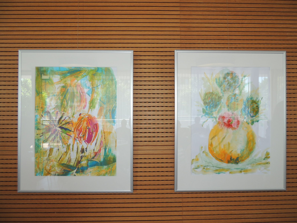 DSCN7866_JPG-1371509898