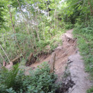 DSCN6982_JPG-1371511584