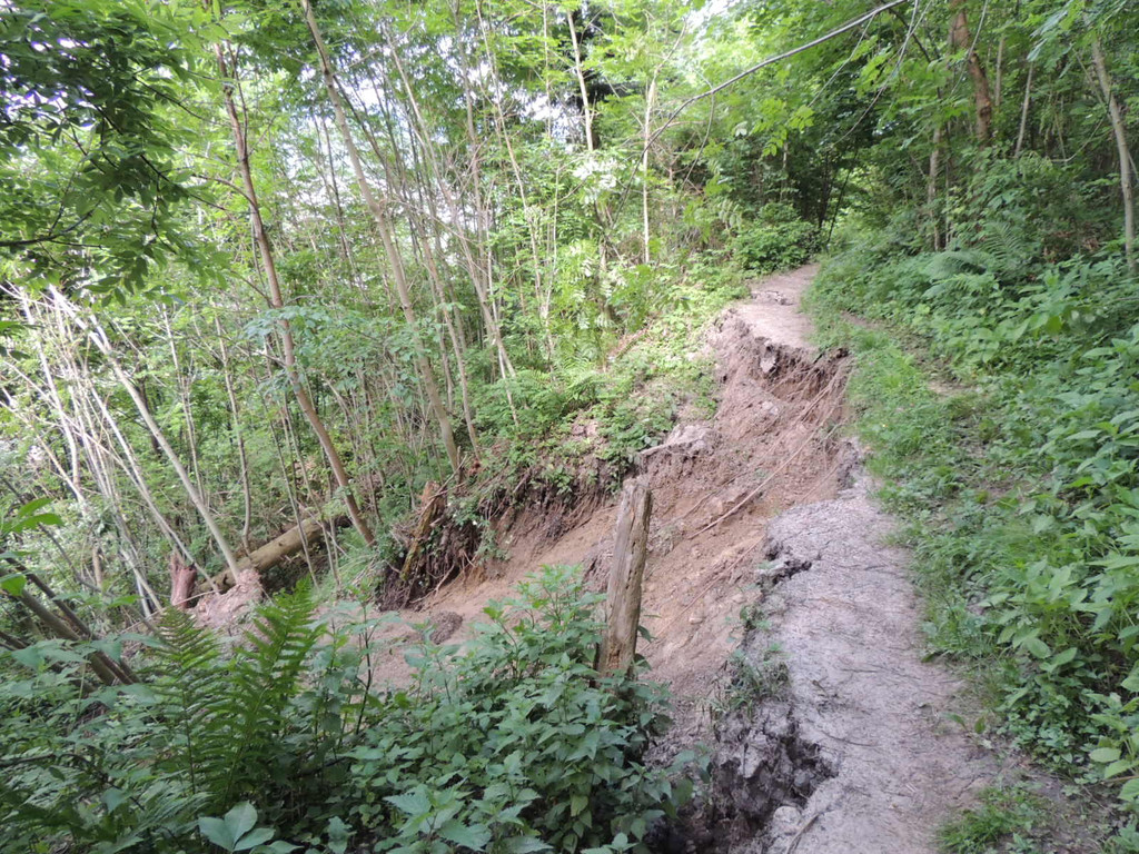 DSCN6982_JPG-1371511584