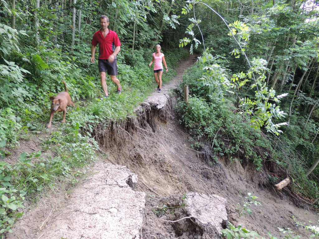 DSCN6973_JPG-1371511565