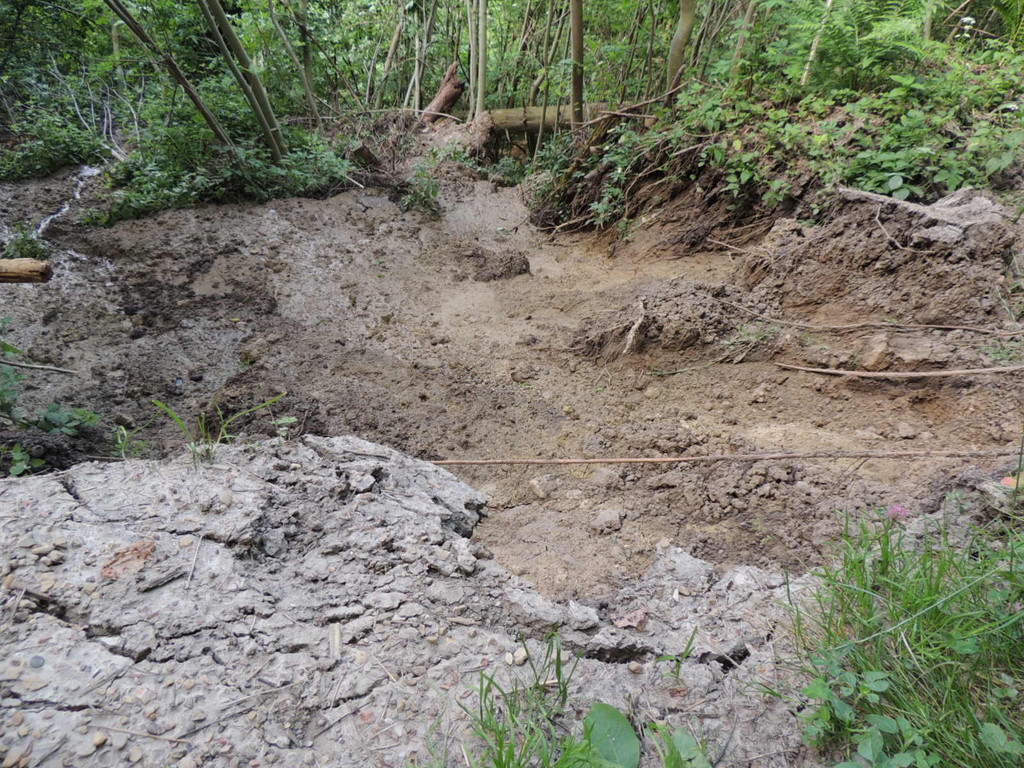 DSCN6979_JPG-1371511576