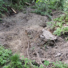 DSCN6976_JPG-1371511569