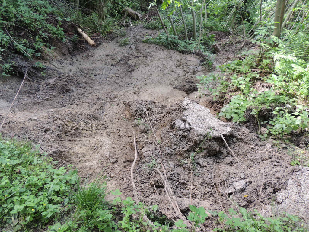 DSCN6976_JPG-1371511569