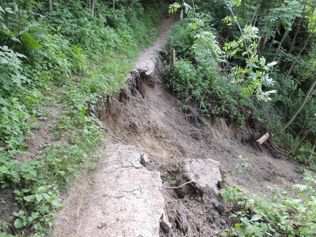 DSCN6970_JPG-1371511562