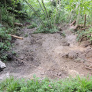 DSCN6978_JPG-1371511573