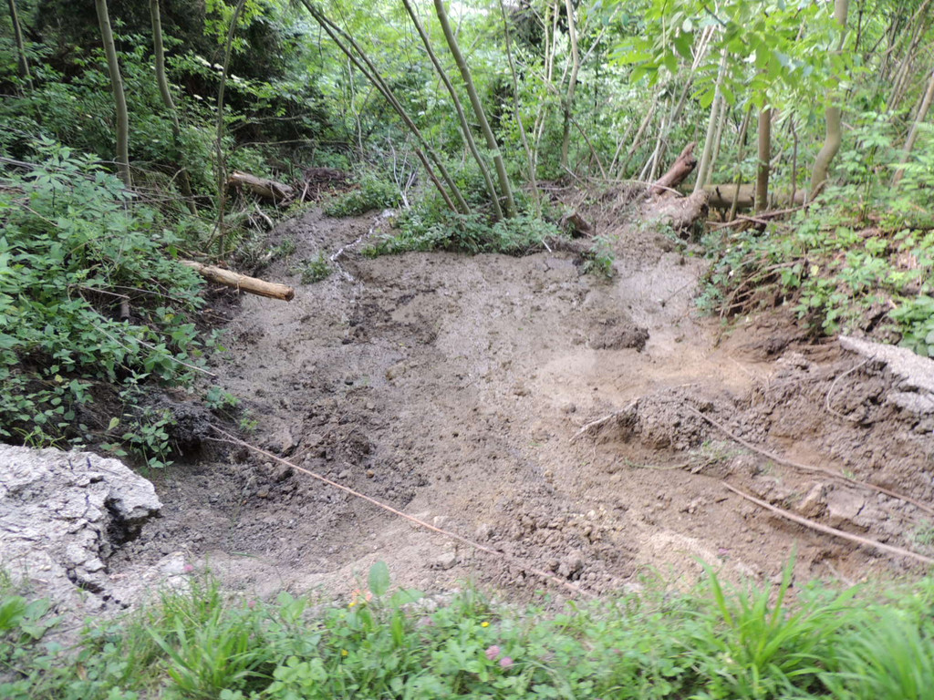 DSCN6978_JPG-1371511573