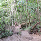 DSCN6981_JPG-1371511580