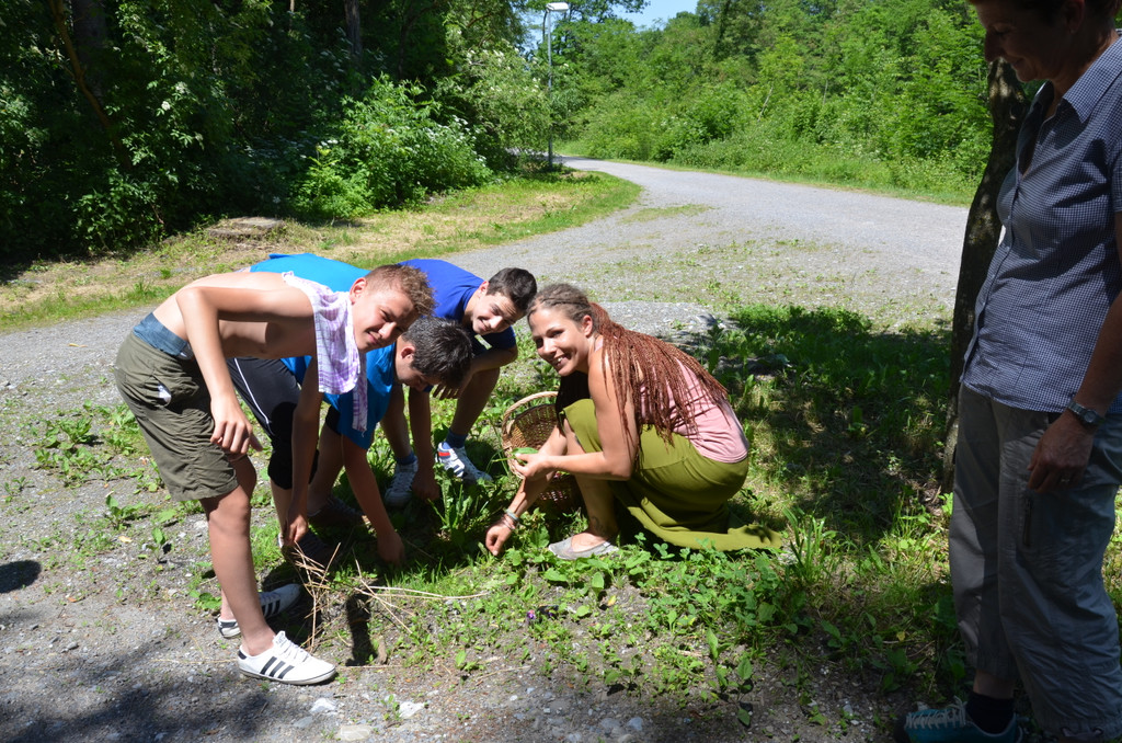 DSC_1883_JPG-1371526121