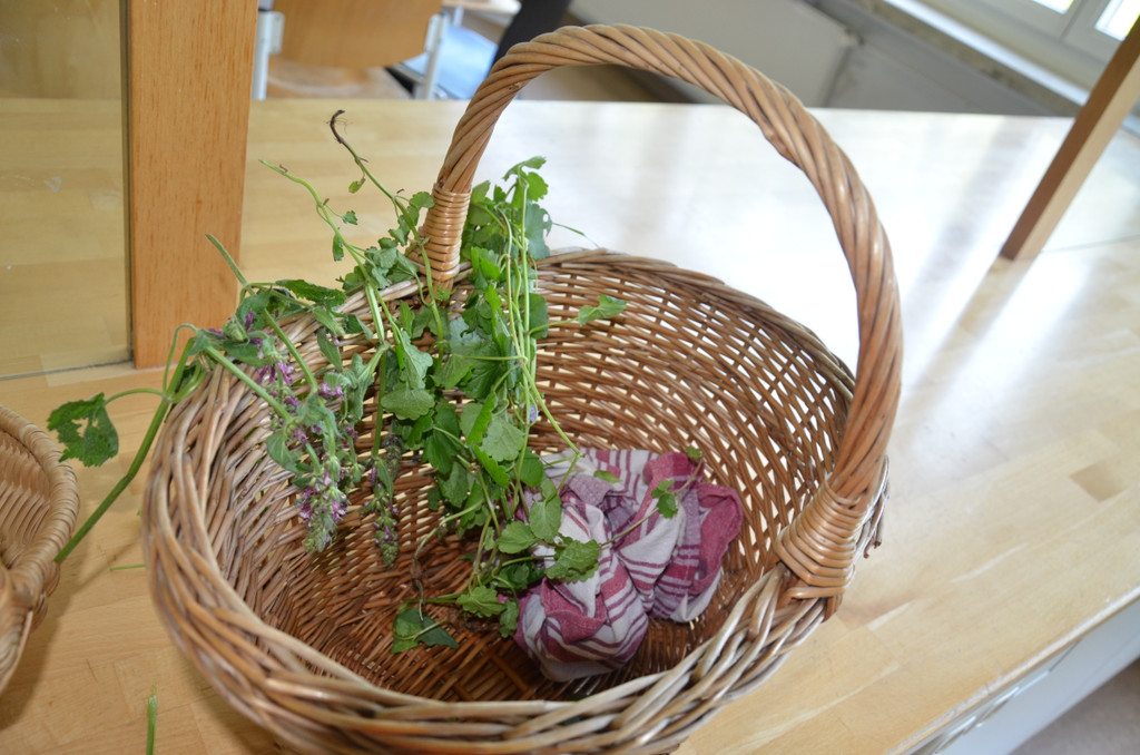 DSC_1897_JPG-1371526323