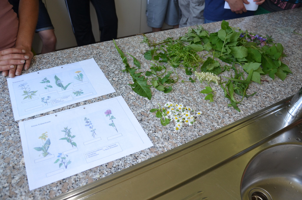 DSC_1900_JPG-1371526365