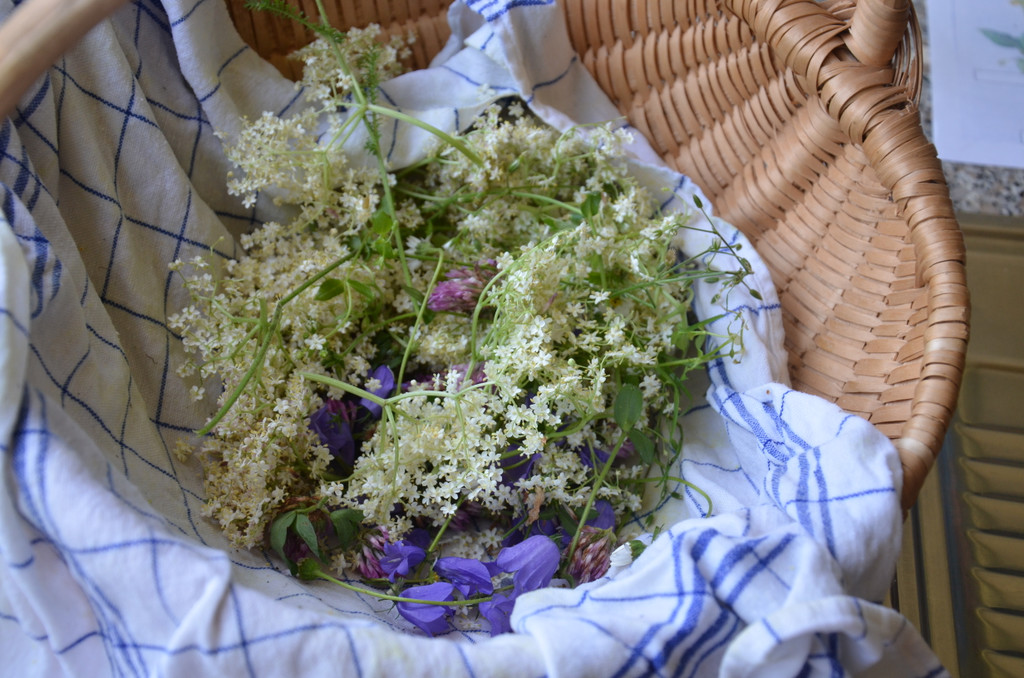 DSC_1903_JPG-1371526409